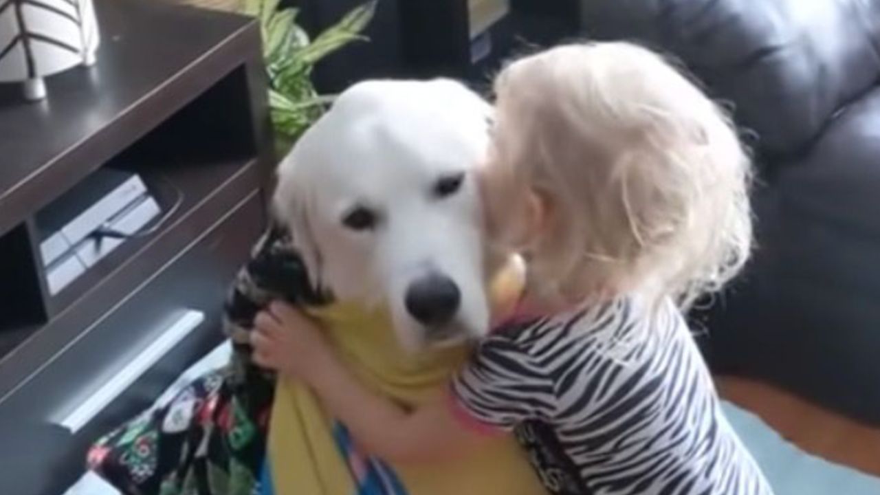 un cane si diverte con il suo amico