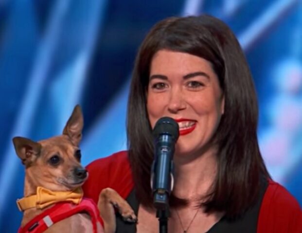 Il cane ruba la scena alla sua umana che stava cantando una canzone ad America’s Got Talent