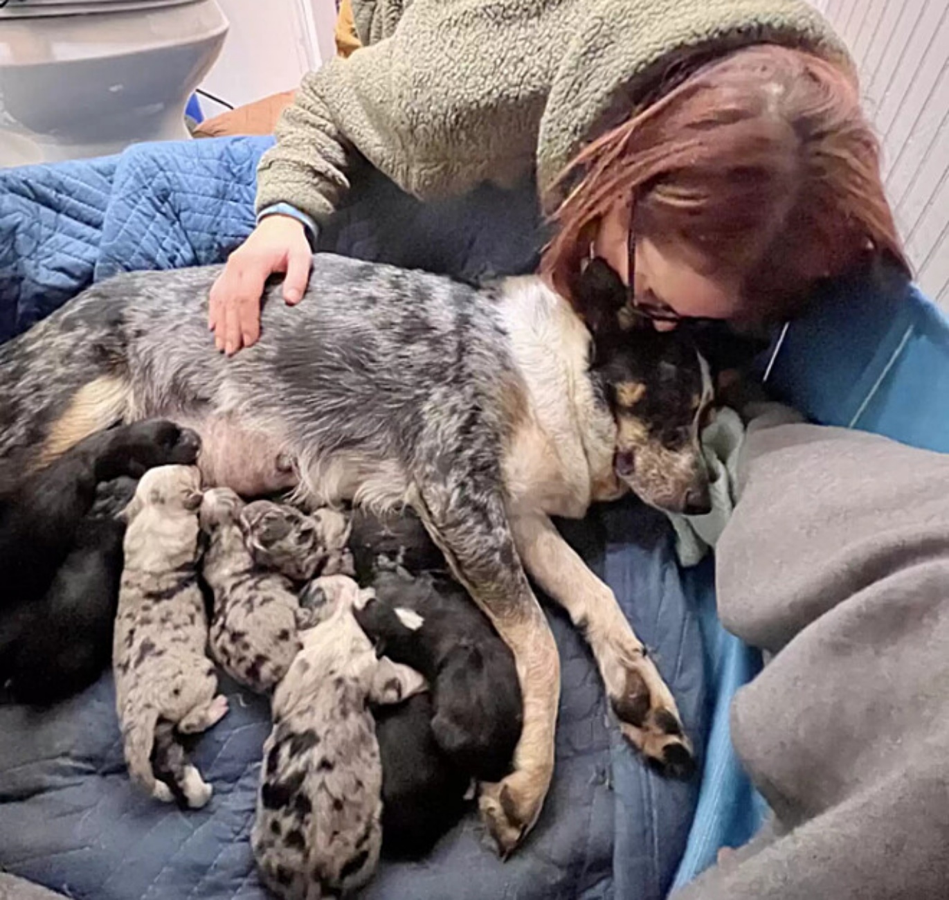 cagnolina cuccioli e donna