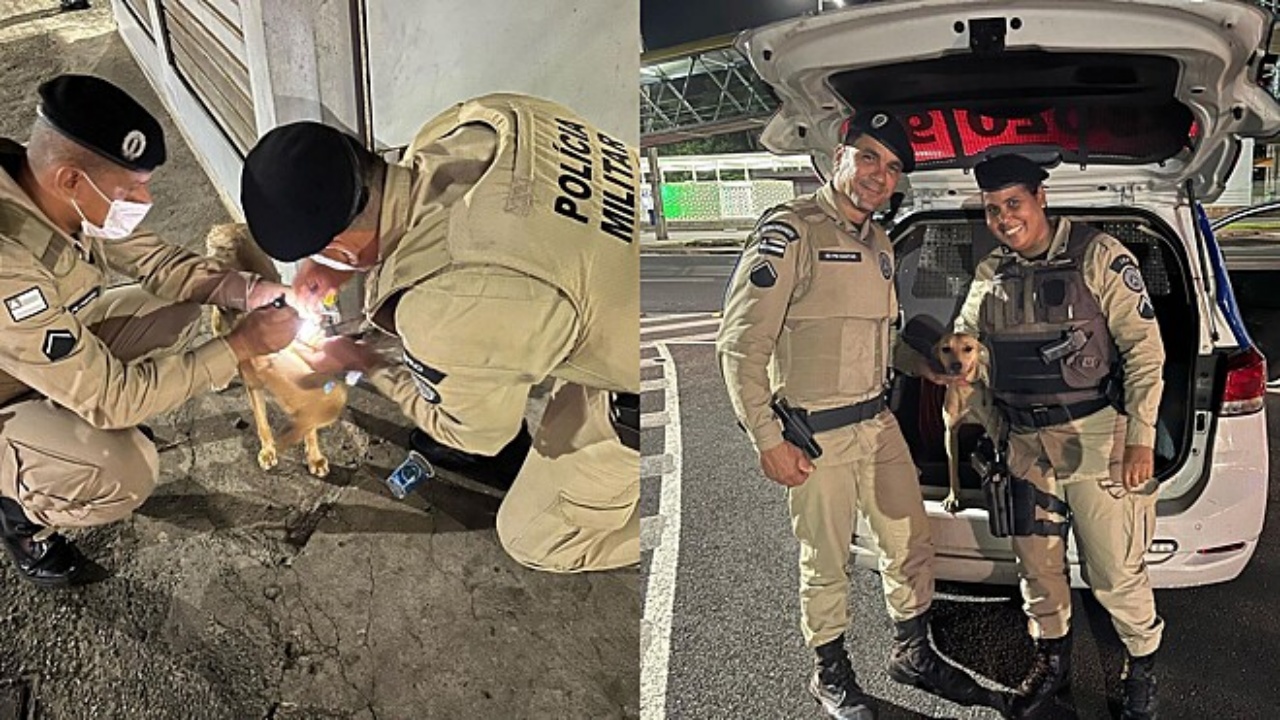 cagnolina e polizia