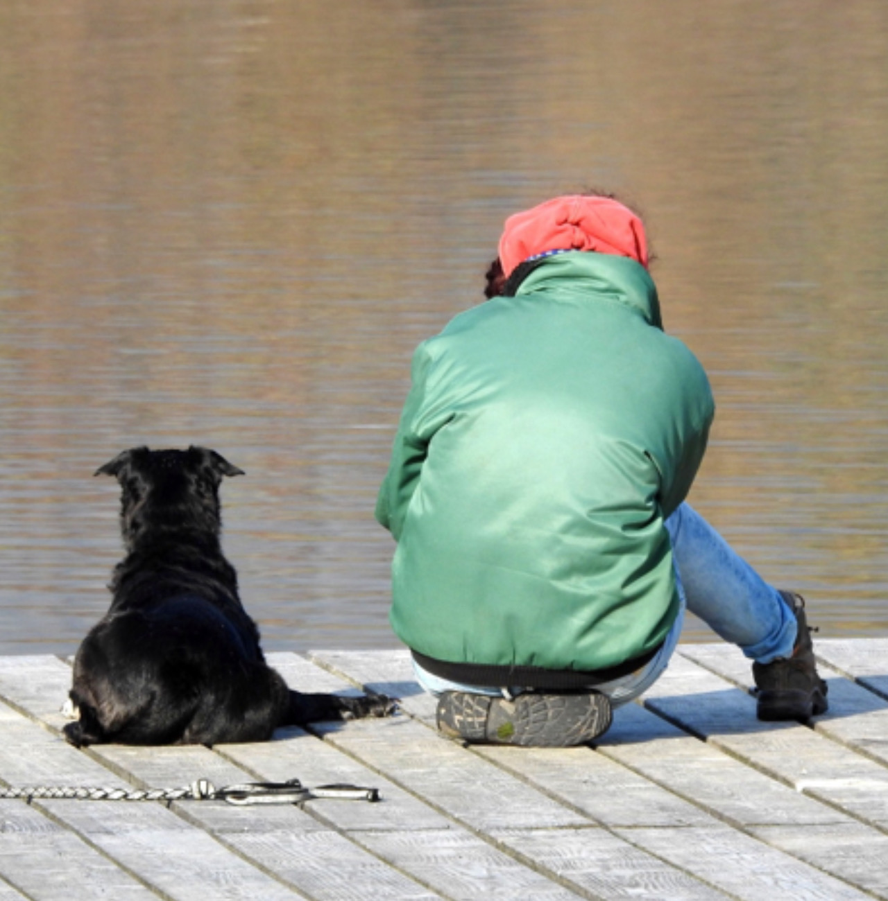 Bambino e cane guardano il fiume