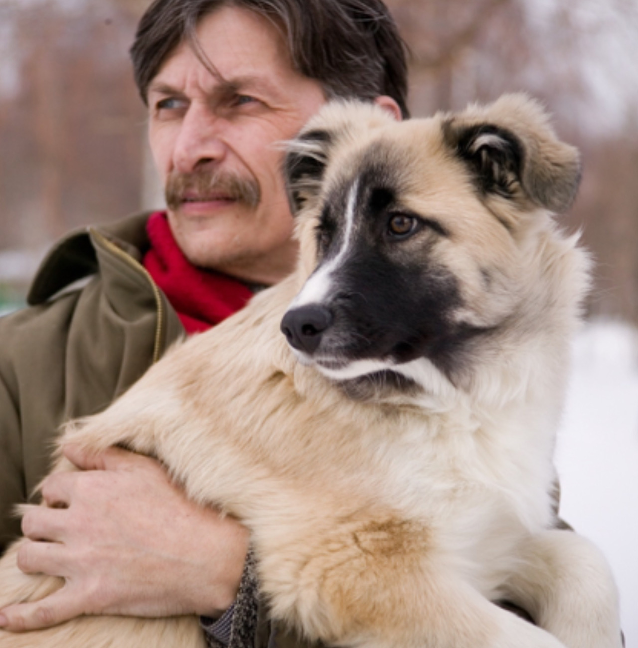 Padrone abbraccia il cane