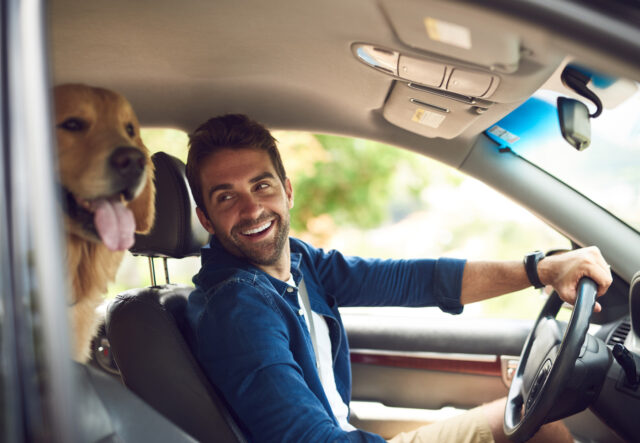 Airbag per il cane, come farlo viaggiare in auto senza rischi