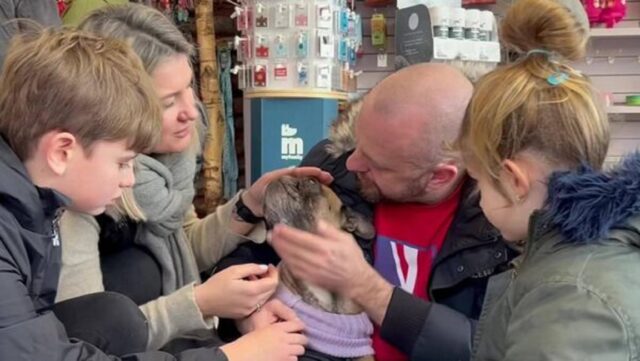 Cane scomparso da 2 anni ritrova finalmente la sua famiglia