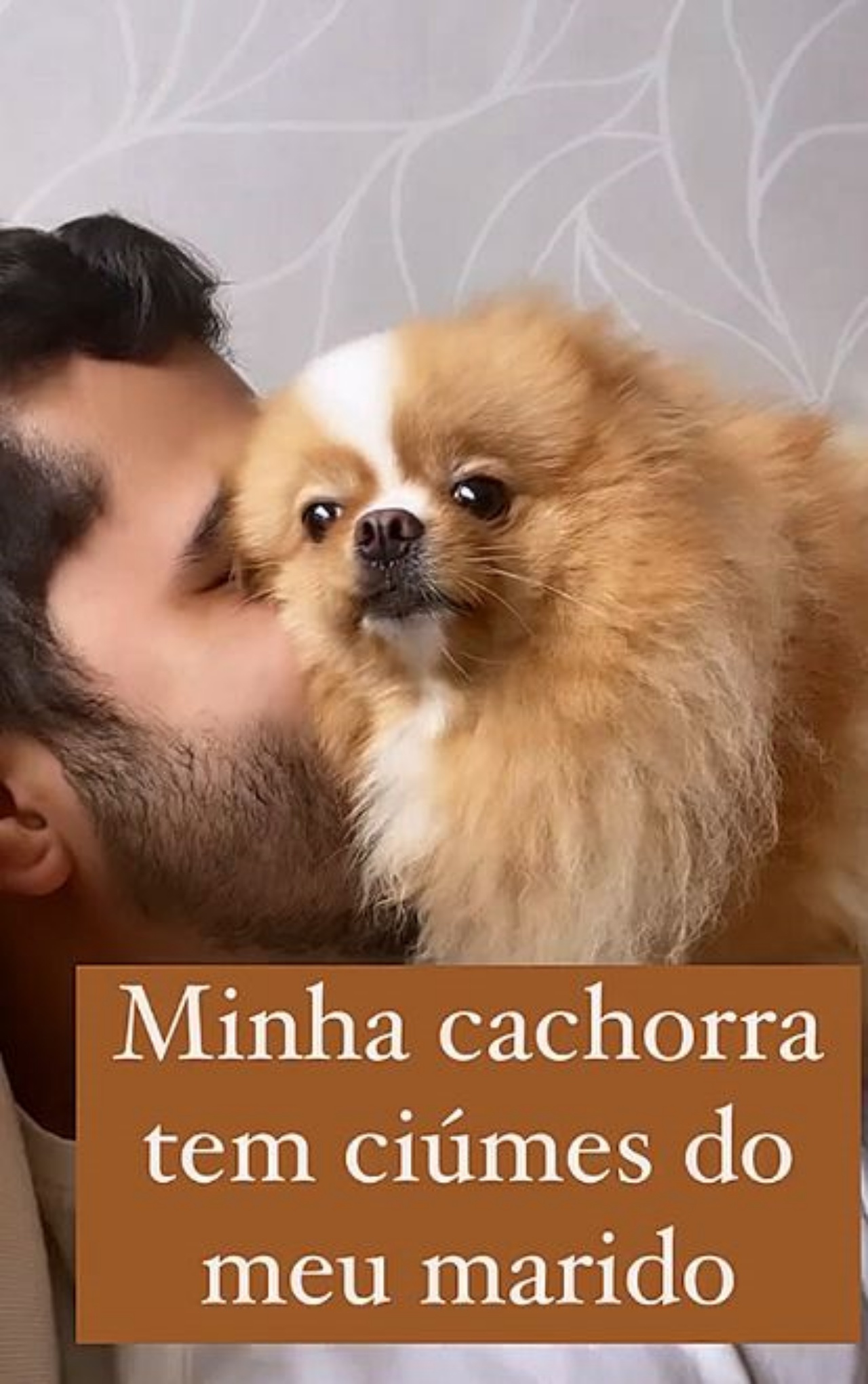 un cane spitz tedesco con un ragazzo
