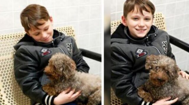 Il bambino sceglie di adottare il cane più anziano e malato per regalargli gli ultimi momenti felici