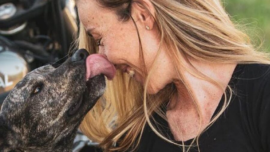 Cane lecca il viso della sua proprietaria