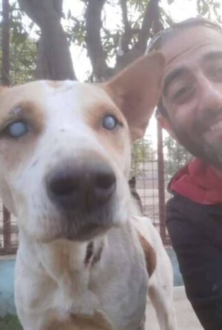 Il cane cieco si emoziona e corre felice quando sente la voce dell’uomo che lo ha salvato (VIDEO)