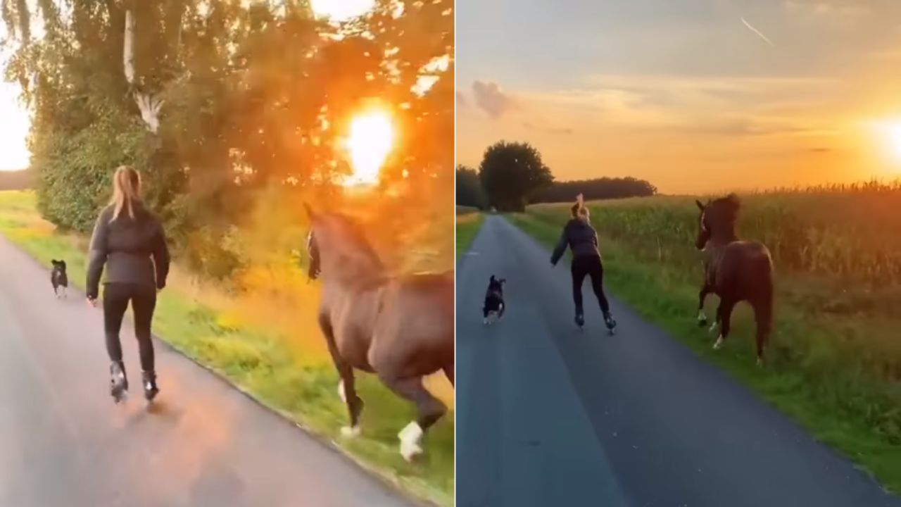 cane corre con padrona e cavallo