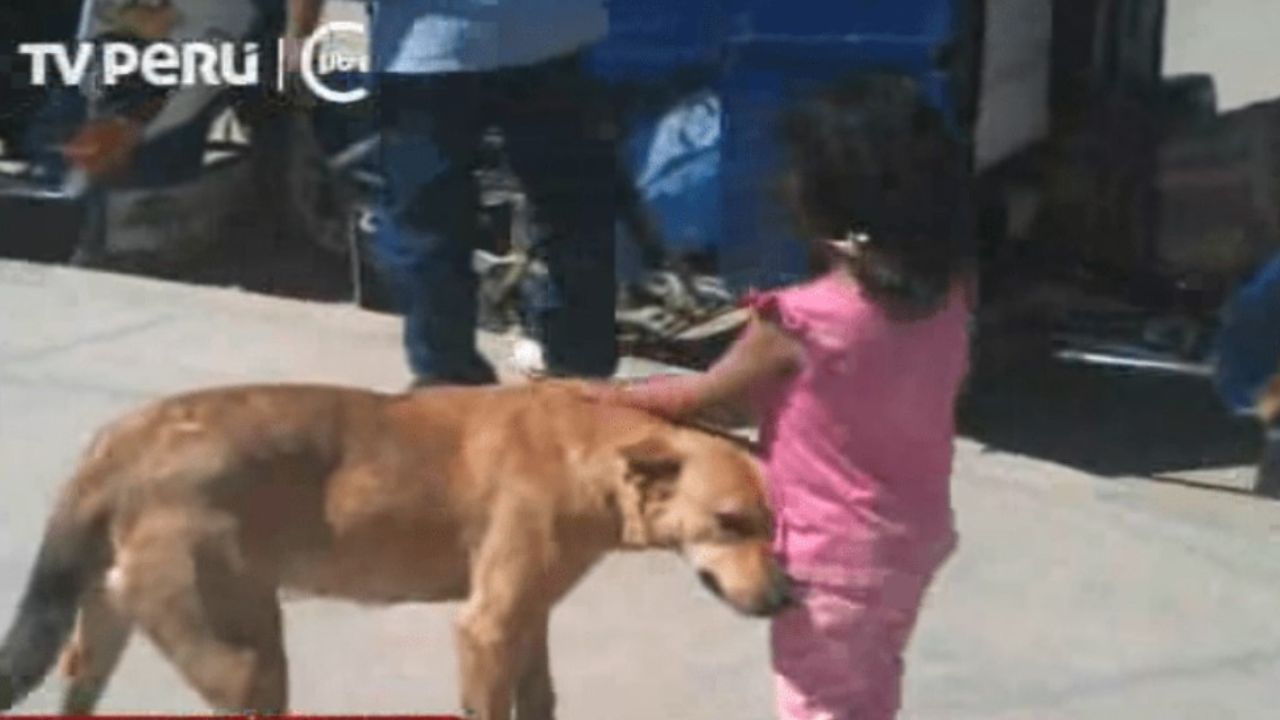 cane con bambina con maglietta rosa