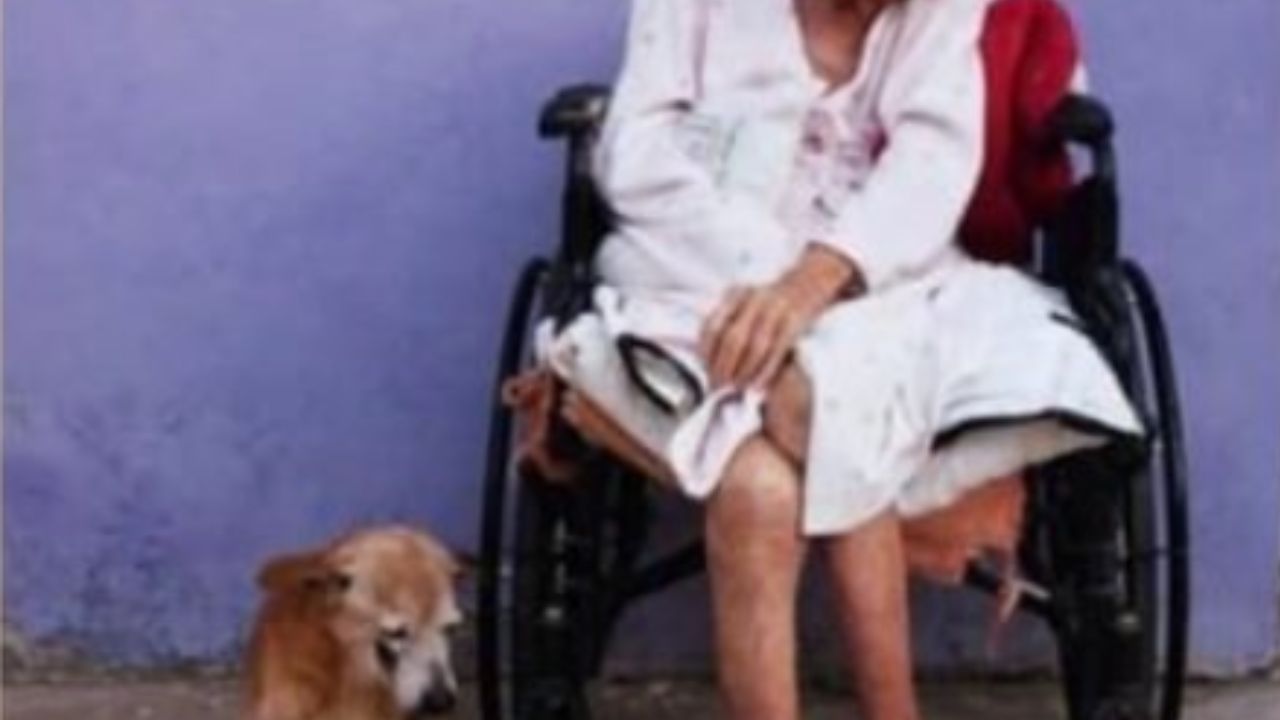 cane marrone con signora anziana