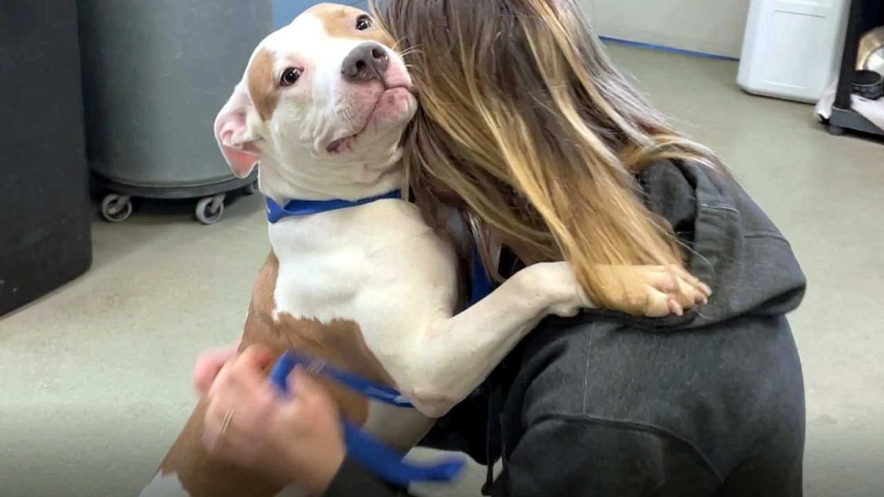 Cane sorride abbracciando una donna