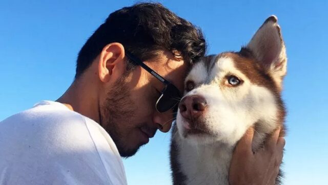 Cane morto di tristezza dopo il proprietario: Dante non ha retto alla separazione