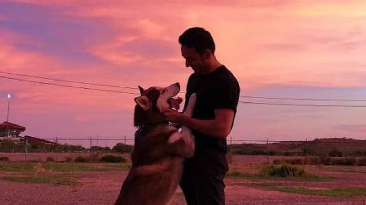 Cane e proprietario al tramonto