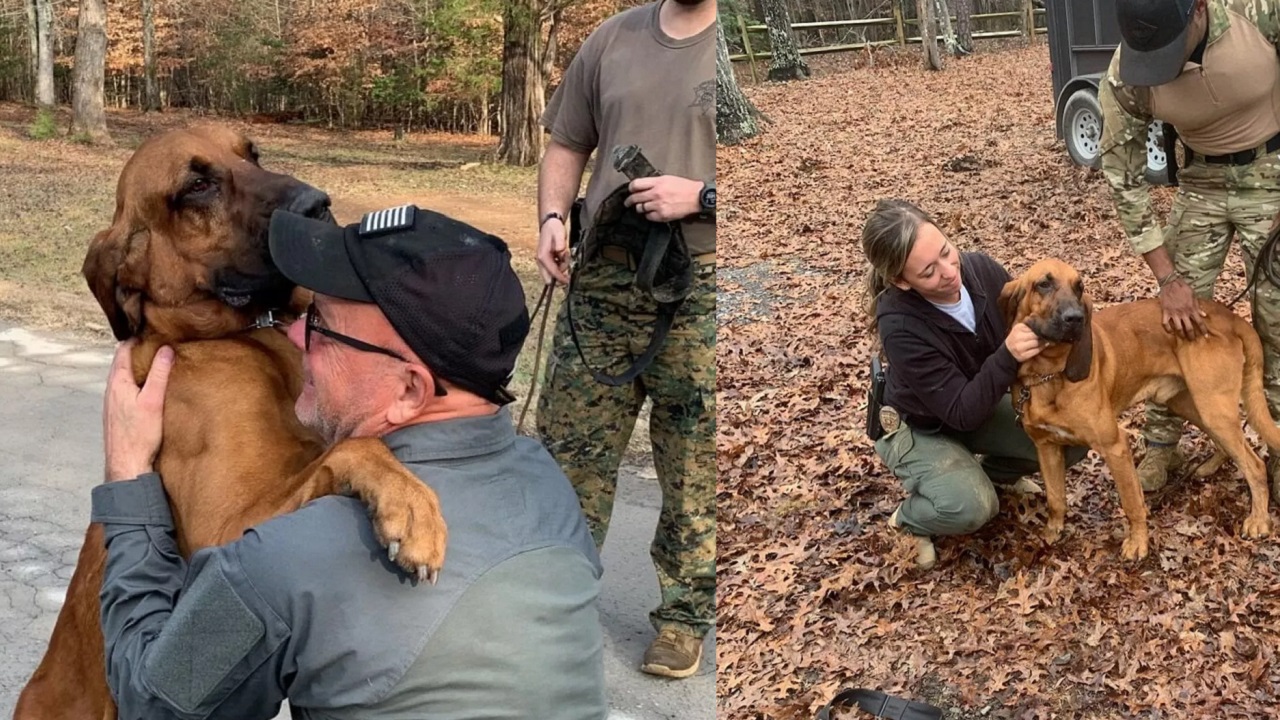 Cane poliziotto con i suoi colleghi umani