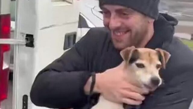 Cane ritrova il proprietario dopo 5 anni grazie ai social