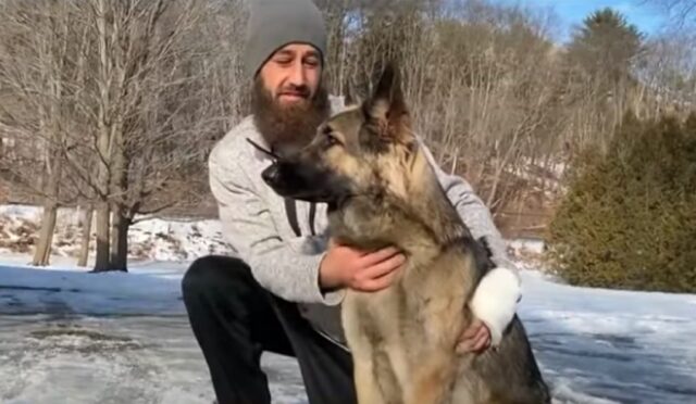 Cane salva il proprietario dopo l’incidente con un camion, andando a chiedere aiuto