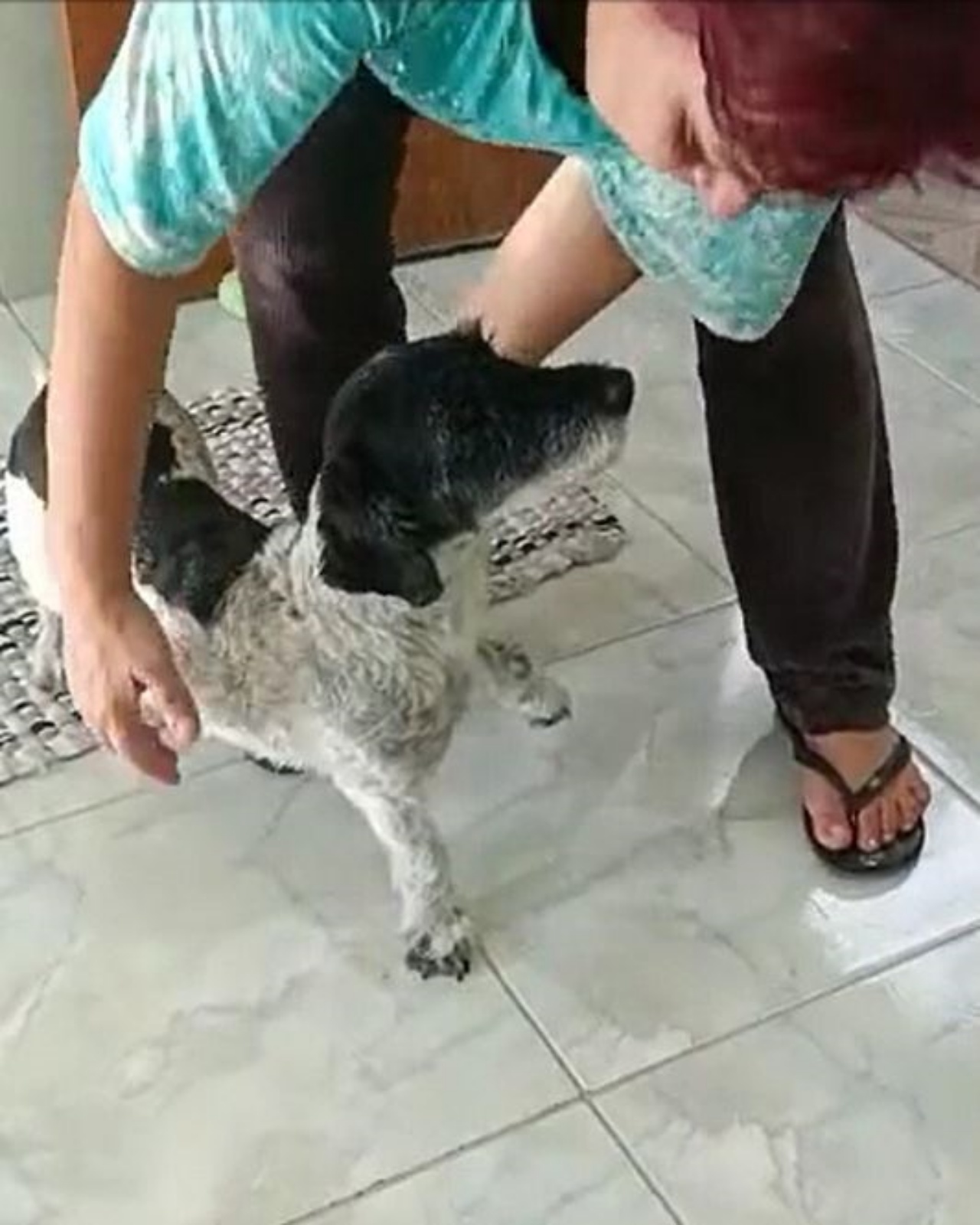 Un cane con una donna di nome Isa