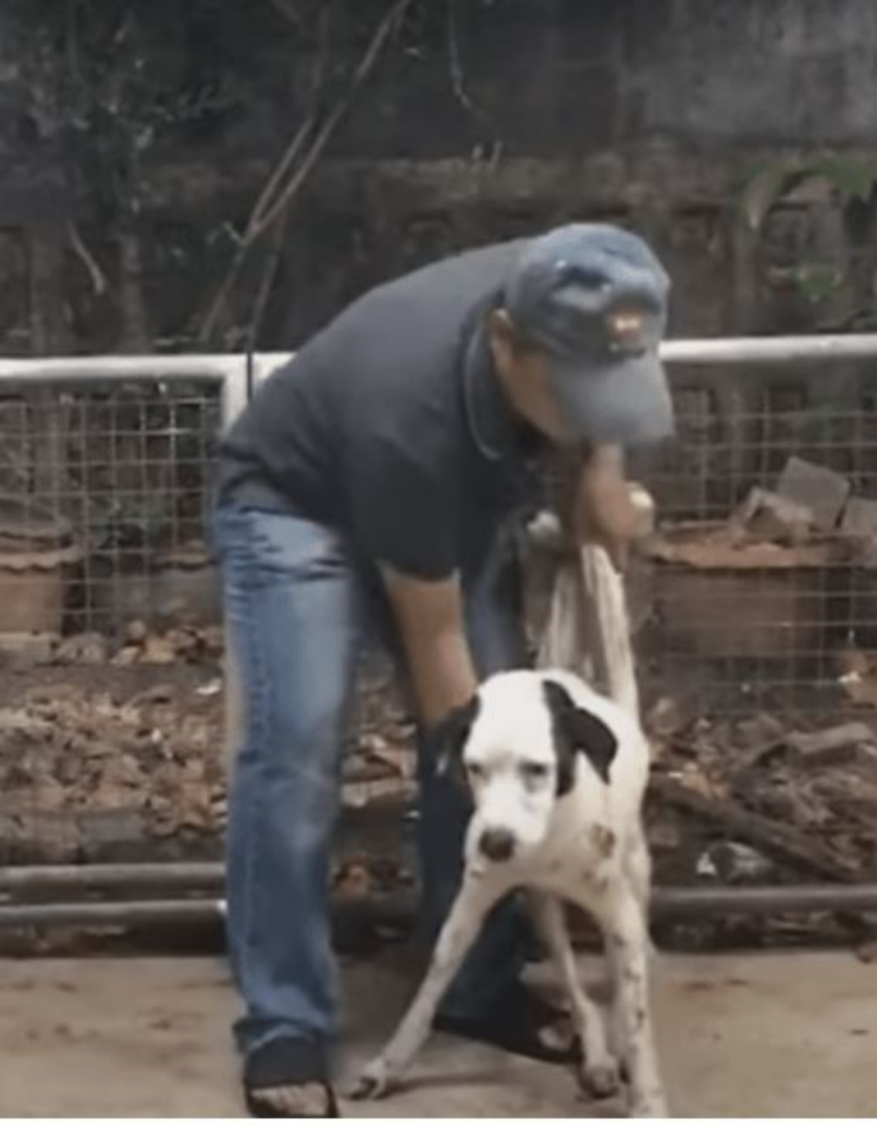 un uomo che aiuta un cane a camminare