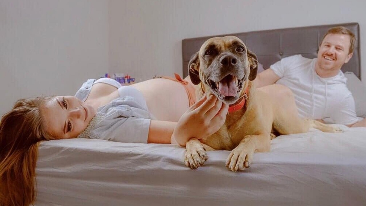 Cane sul letto con i proprietari