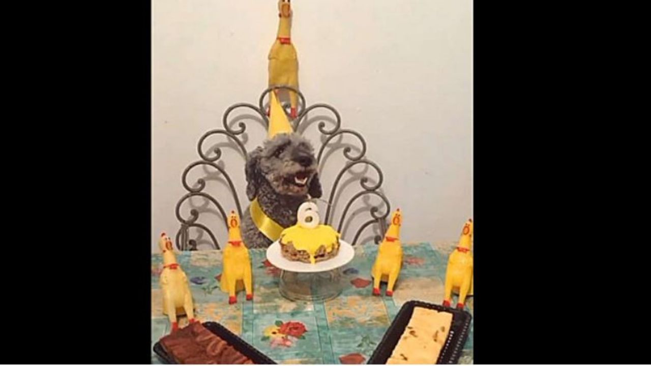 Fred davanti la torta per il suo compleanno
