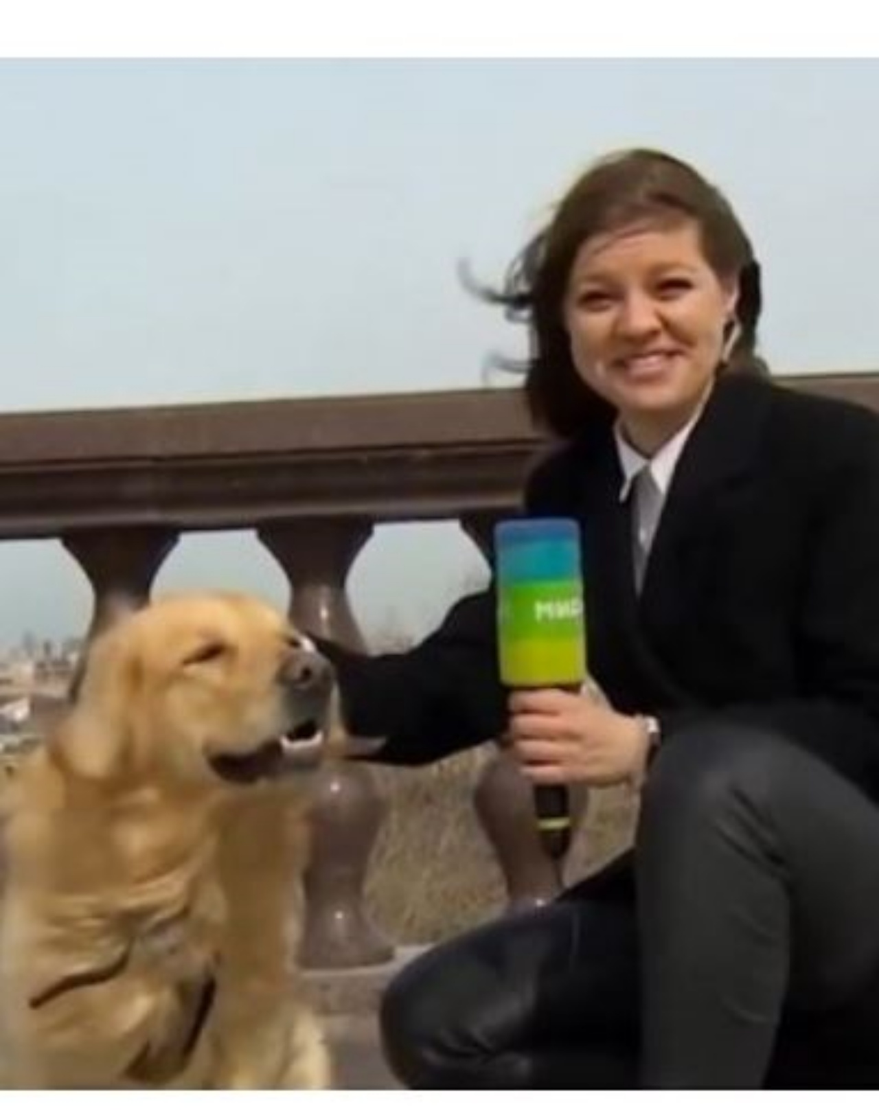 un cane con una giornalista