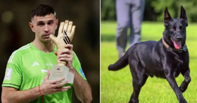 Martinez adotta un cane dei reparti militari speciali per difendere la medaglia dei Mondiali