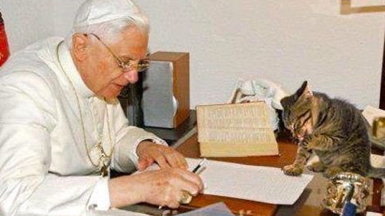 Papa Bendetto XVI e i gatti