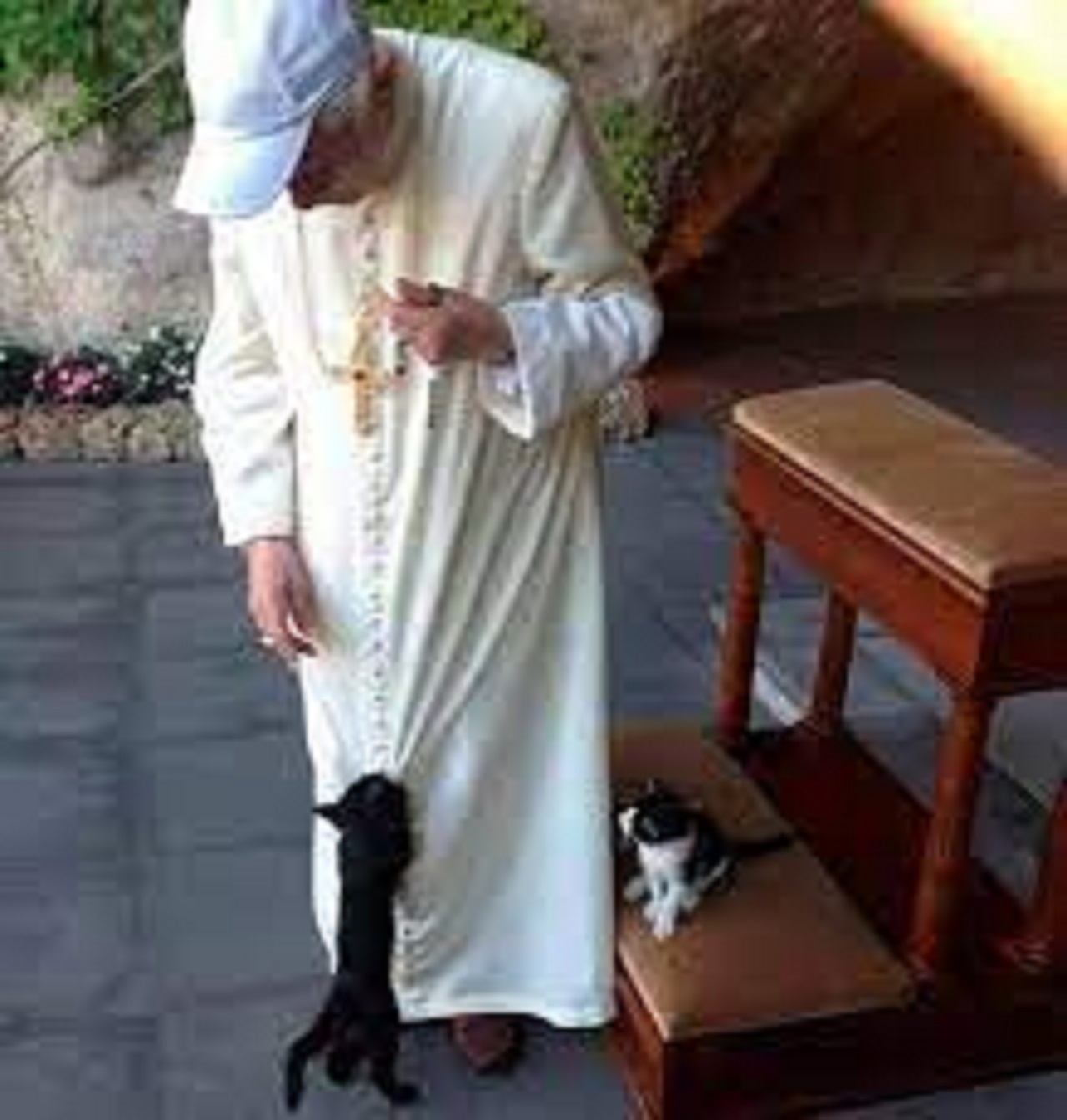 Papa emerito con i gattini