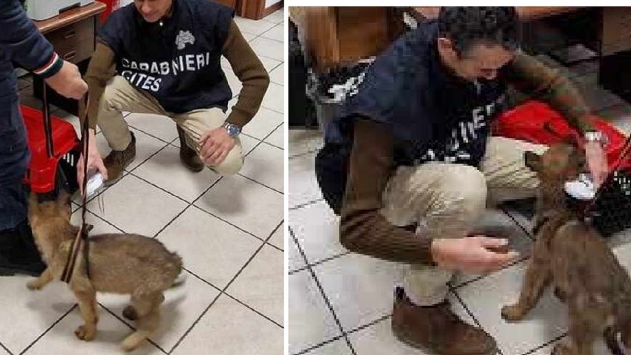 Agenti dei Carabinieri con il cane salvato
