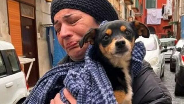 Peppiniello torna a casa: ritrovato a Napoli il cane che da due giorni si era perso