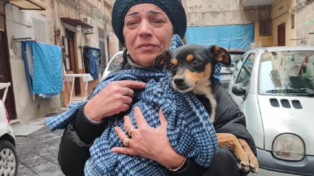 Peppiniello cane fuggitivo di Napoli