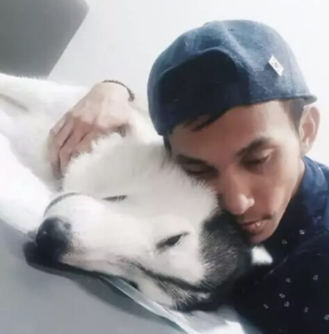 “Addio, figlio mio”: quest’uomo non riesce a smettere di piangere salutando per l’ultima volta il suo cane