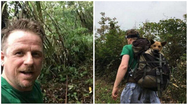 Questo cane non sapeva cosa fosse la felicità: per salvarlo sono andati nel cuore di una montagna