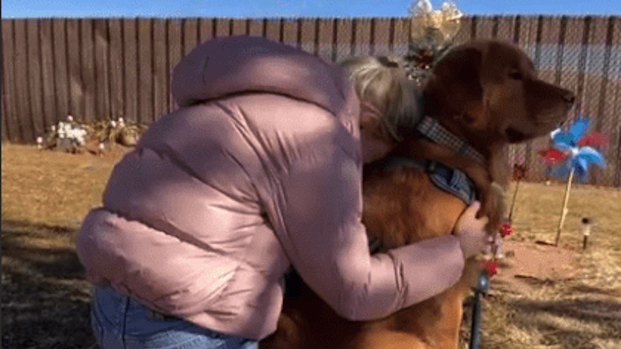 Padrona con il cane