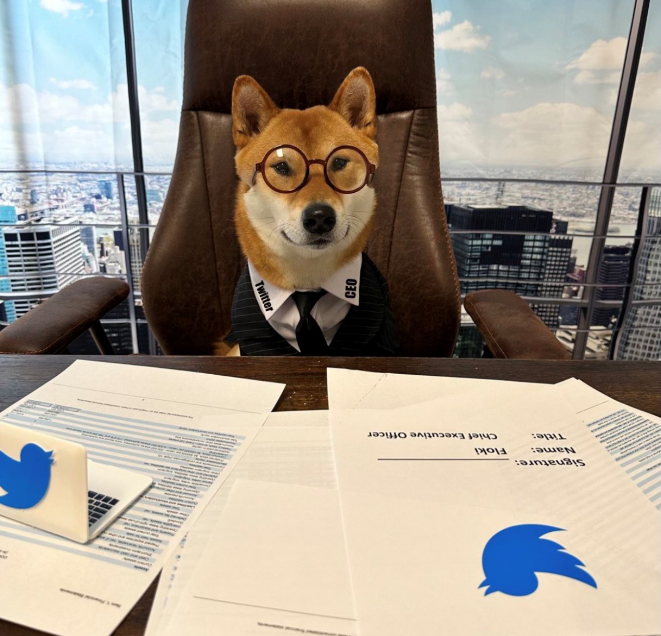 cane alla scrivania