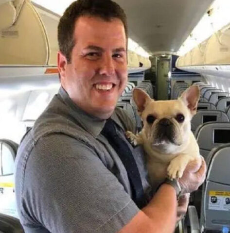 Gli assistenti di volo salvano la vita del cane con una maschera per l’ossigeno