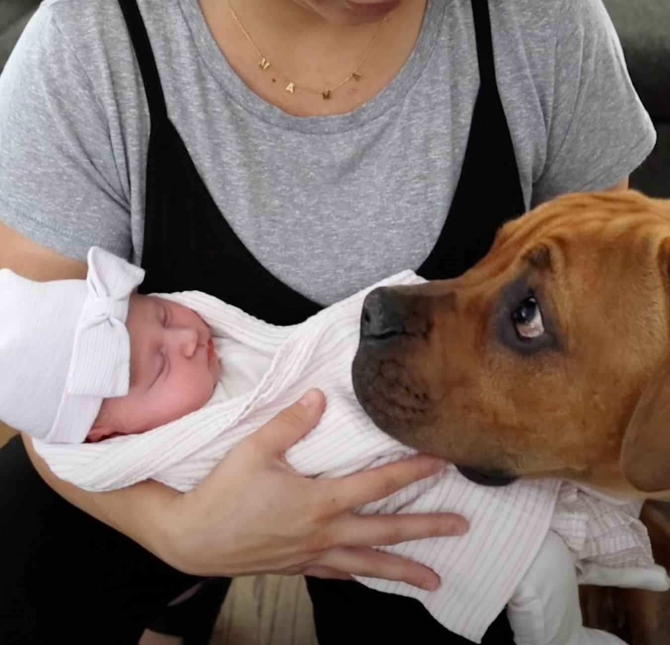 cane e neonata
