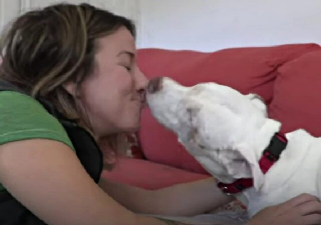 Il cane del rifugio cieco e sordo realizza il suo sogno e incontra la sua famiglia per sempre