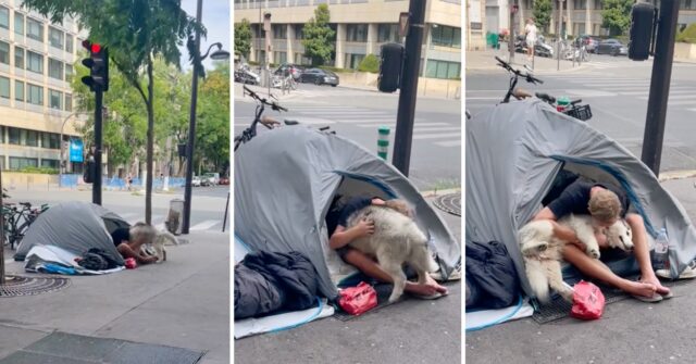 La cagnolona diventa la migliore amica di un senzatetto e gli cambia la vita
