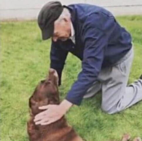 L’uomo di 90 anni decide di salutare il cane morente del vicino: è un addio a dir poco straziante