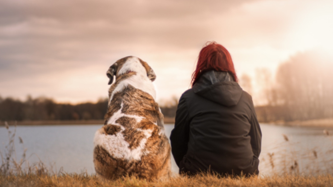 Cane vicino alla donna