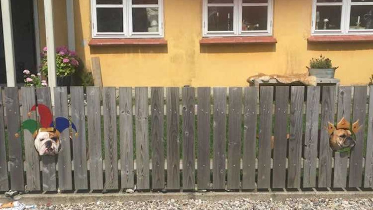 cani affacciati al recinto dipinto