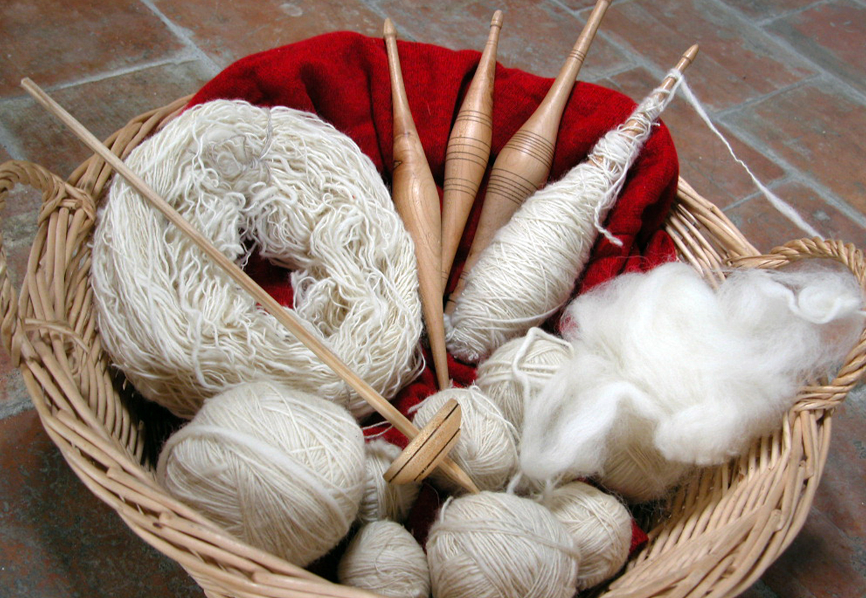 filare la lana di cane