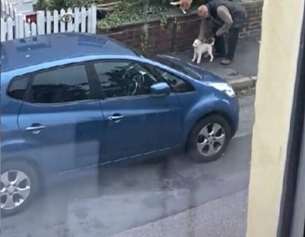 Si affaccia alla finestra e vede una scena tra un uomo e il suo cane che lo lascia di stucco