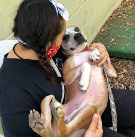 Viveva incatenato in una casa abbandonata: dopo essere stato salvato, questo cane abbraccia tutti