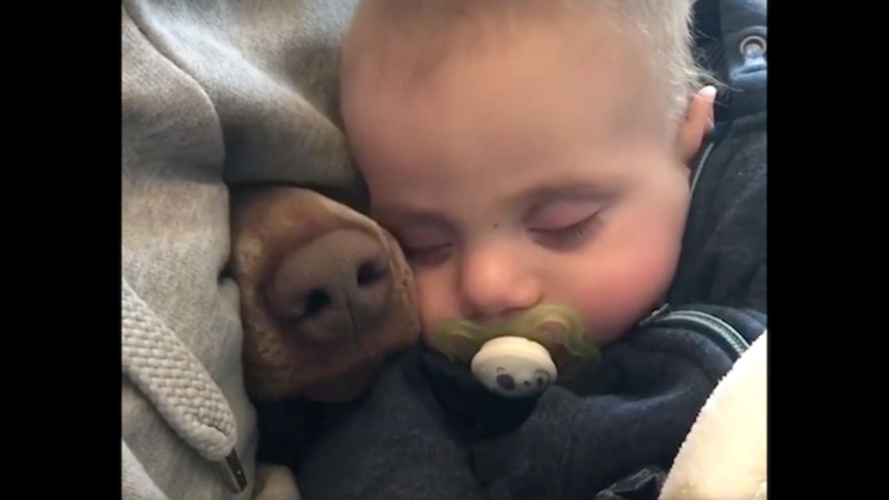 cucciolo di cane e bambino che dormono