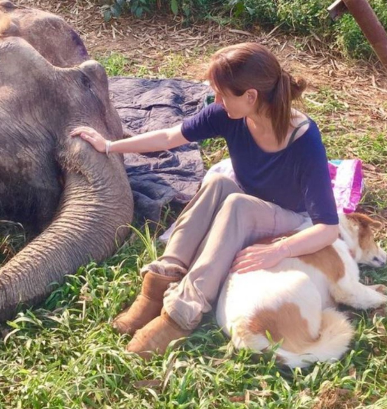 Una donna con un elefante e Pancake