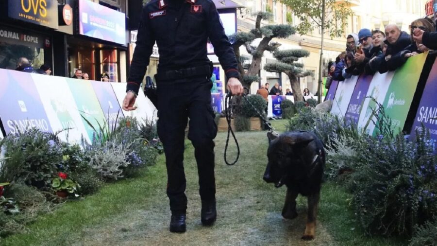 Cane Carabiniere a Sanremo