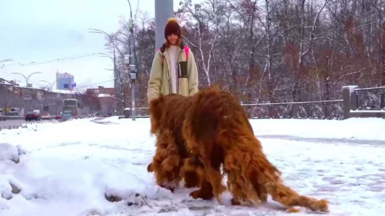 cane e bambina